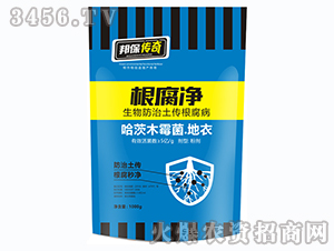 ������-�����-��ʘI(y��)