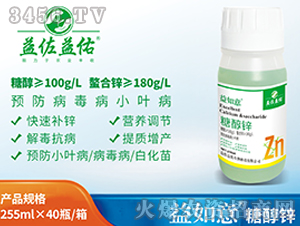 �Ǵ��\-������-��������