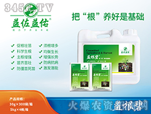 �����-�ѡ������B(y��ng)���ǻ��A(ch��)-��������