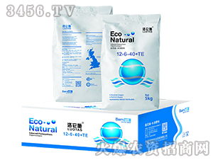 �@ˇ��ˮ�ܷ���12-6-40+TE-����ʩ-혞��r(n��ng)�I(y��)