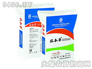 �@ˇ���طN����-�r(n��ng)����-혞��r(n��ng)�I(y��)