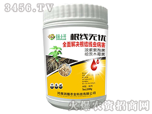 �����o�n-��ֲ