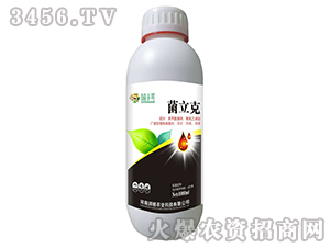 ������-��ֲ