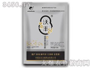 ���ﵰ��������-���S-���S�f¡