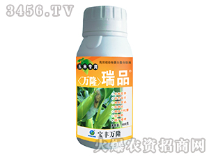 ���׌����~���-�f¡��Ʒ