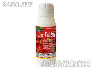 ��ݮ�����~���-�f¡��Ʒ