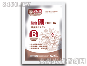 ������-���S�f¡