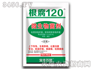 ΢�������-����120-���S�f¡