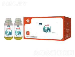 �ۺ���-�����S-���S�r(n��ng)�I(y��)