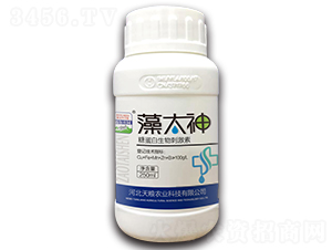 ��̫��-�����f�@-��Z�r(n��ng)�I(y��)