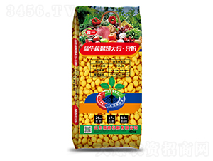 10�|����������󶹶���-��һ-����