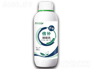 ���a���Ǵ��F��-ِ���S-ِ�S����