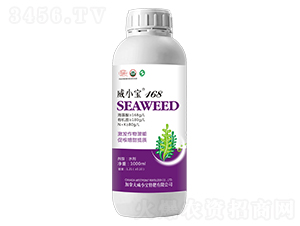 ��С��168-��巉�(m��ng)