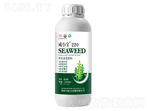 ��С��220-��巉�(m��ng)