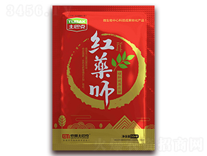 ֲ�｡������-�tˎ��-���Ϳ�