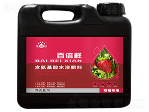 草莓專用含氨基酸水溶肥料-百倍鮮-天度生物
