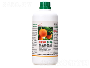 ���ٌ���΢�������-�x��-�m���r(n��ng)�I(y��)