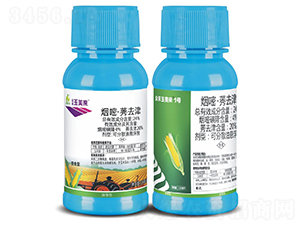 24%���ס�ݬȥ��-������(l��i)-�����S