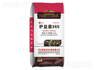 �o���365-��ɏ