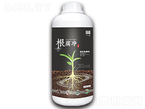 ΢�������-������-һ�t