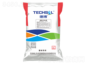 ������̖A��-�²�-��ʢ����