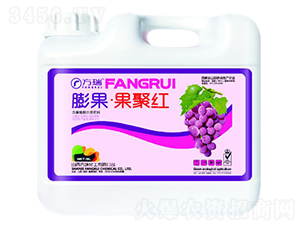 膨果·果聚紅-方瑞