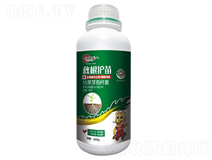 �ȸ��o(h��)�磨ȫ���Q�����������}��-�ŵ���