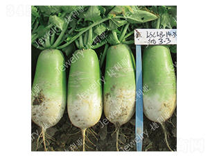 �¾G1434-�}���N��-������