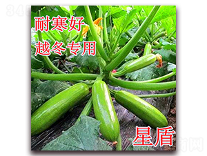 �Ƕ�-�����J�N��-��ʢ�r(n��ng)�I(y��)