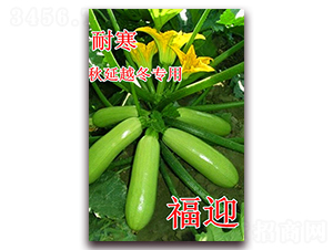 ��ӭ-�����J�N��-��ʢ�r(n��ng)�I(y��)