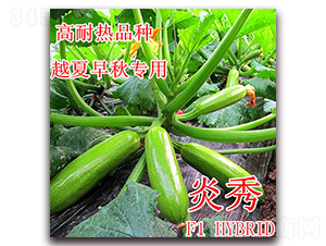 ����-�����J�N��-��ʢ�r(n��ng)�I(y��)