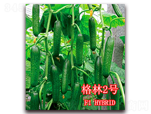 ����2̖(h��o)-�S�ϷN��-��ʢ�r(n��ng)�I(y��)