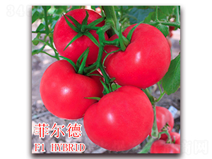 �Ơ���-���ѷN��-��ʢ�r(n��ng)�I(y��)