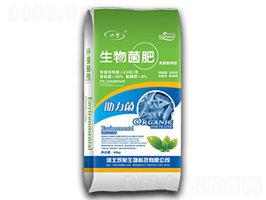 �������-�뷱����