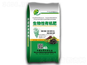 ���ь����������ЙC(j��)��-�S�̾G��