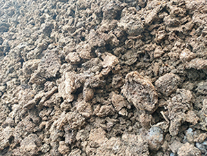 ���i�S-���|�ʘI(y��)