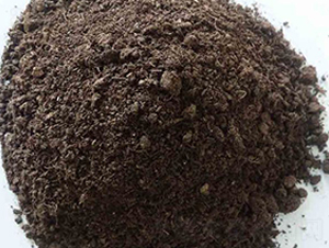 �l(f��)�ͼ���S�ЙC(j��)��-���|�ʘI(y��)