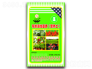 �ЙC(j��)���Ի��|(zh��)���I�B(y��ng)����-����