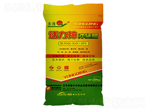 ������_ʩ��-����