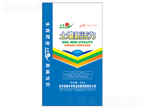 �����»���-����