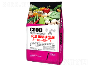 10kg����Ԫ��ˮ�ܷ���18-20-20+TE-��ʿ���r(n��ng)�I(y��)