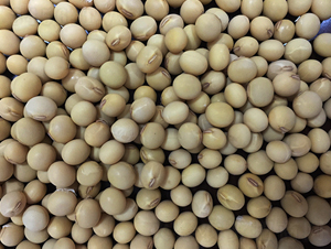 ���r(n��ng)8̖-�󶹷N��-�|��