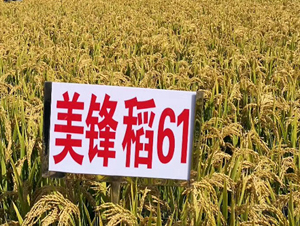 ���h��61-ˮ���N��-�|��