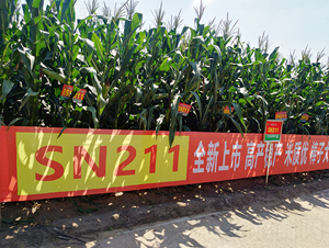 SN211-���׷N��-�|��