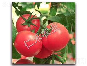 �۠�Ԫ-�۹����ѷN��-�ʺ̷N�I(y��)