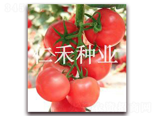 �۠�ԪF6-�۹����ѷN��-�ʺ̷N�I(y��)