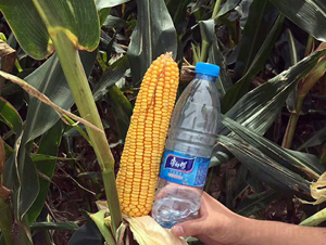 �|��719-���׷N��-�|��