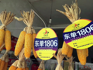 �|��1806-���׷N��-�|��