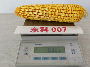 �|��007-���׷N��-�|��