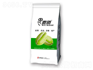 小麥返青肥-九甲麥騰-九甲農(nóng)業(yè)